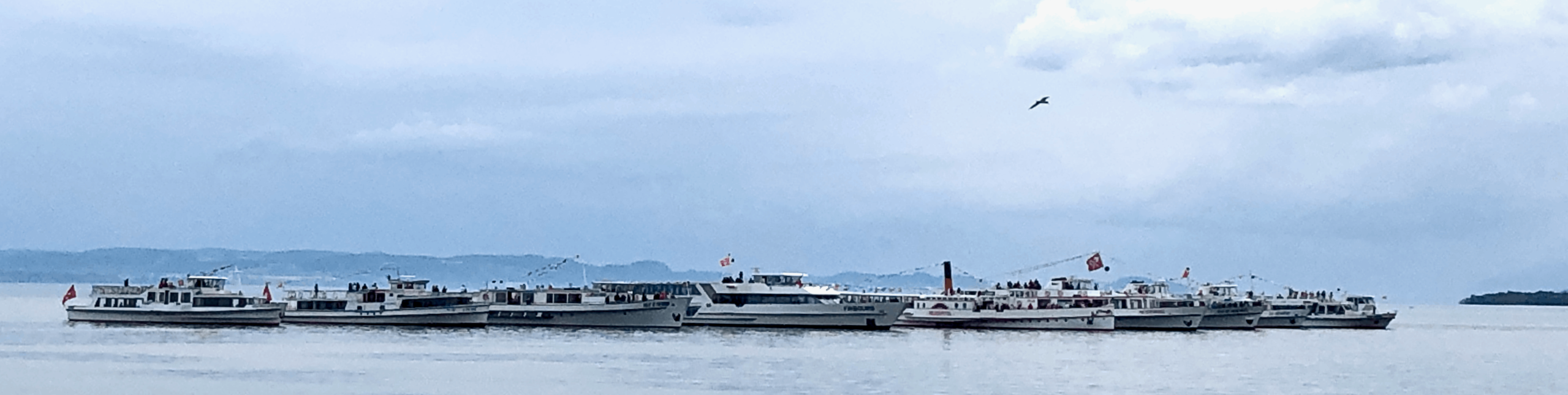 Die Flotte der 9 Boote von LNM und BSG
